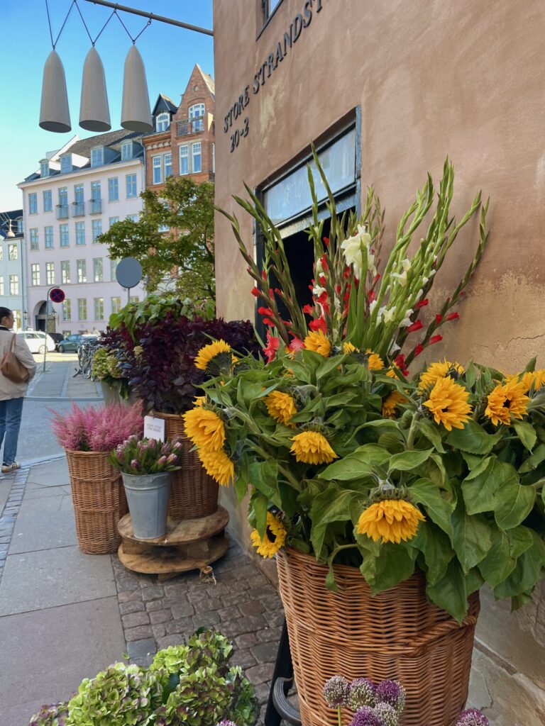 c7c05023 c09e 4183 b362 355d1d260e11